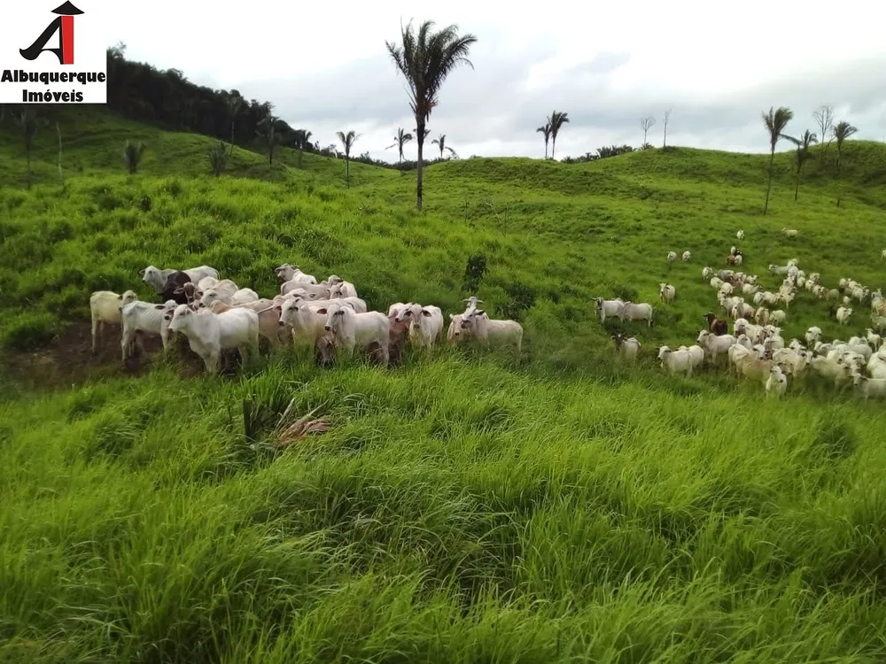 Fazenda, 4000 m² - Foto 5