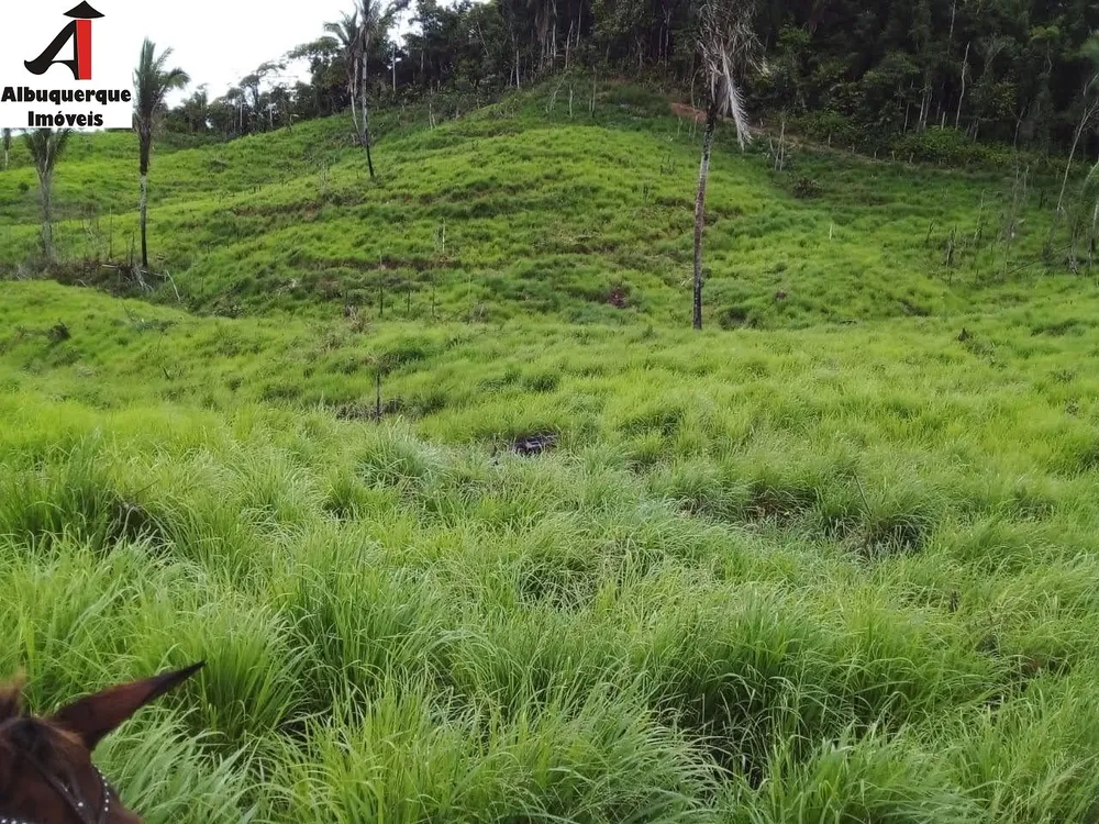 Fazenda, 4000 m² - Foto 7