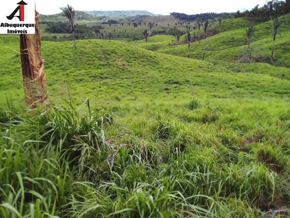 Fazenda à venda com 2 quartos, 4000m² - Foto 1