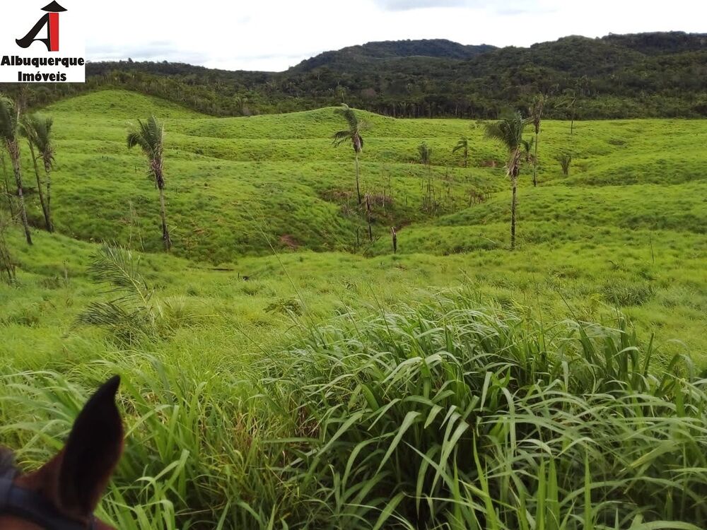 Fazenda à venda com 2 quartos, 4000m² - Foto 2