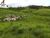 Fazenda, 4000 m² - Foto 4