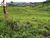 Fazenda, 4000 m² - Foto 1
