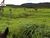 Fazenda, 4000 m² - Foto 2