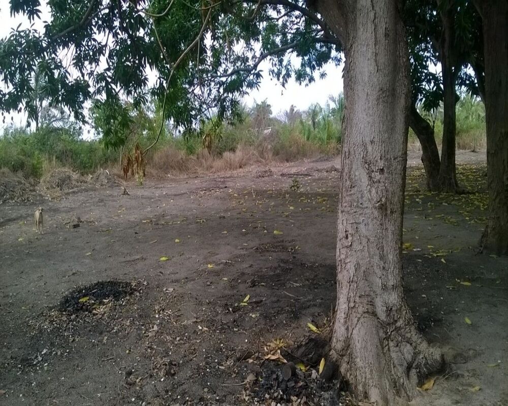 Loteamento e Condomínio, 1250 m² - Foto 2