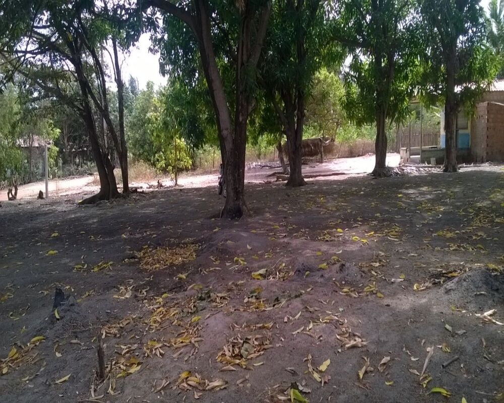 Loteamento e Condomínio, 1250 m² - Foto 4
