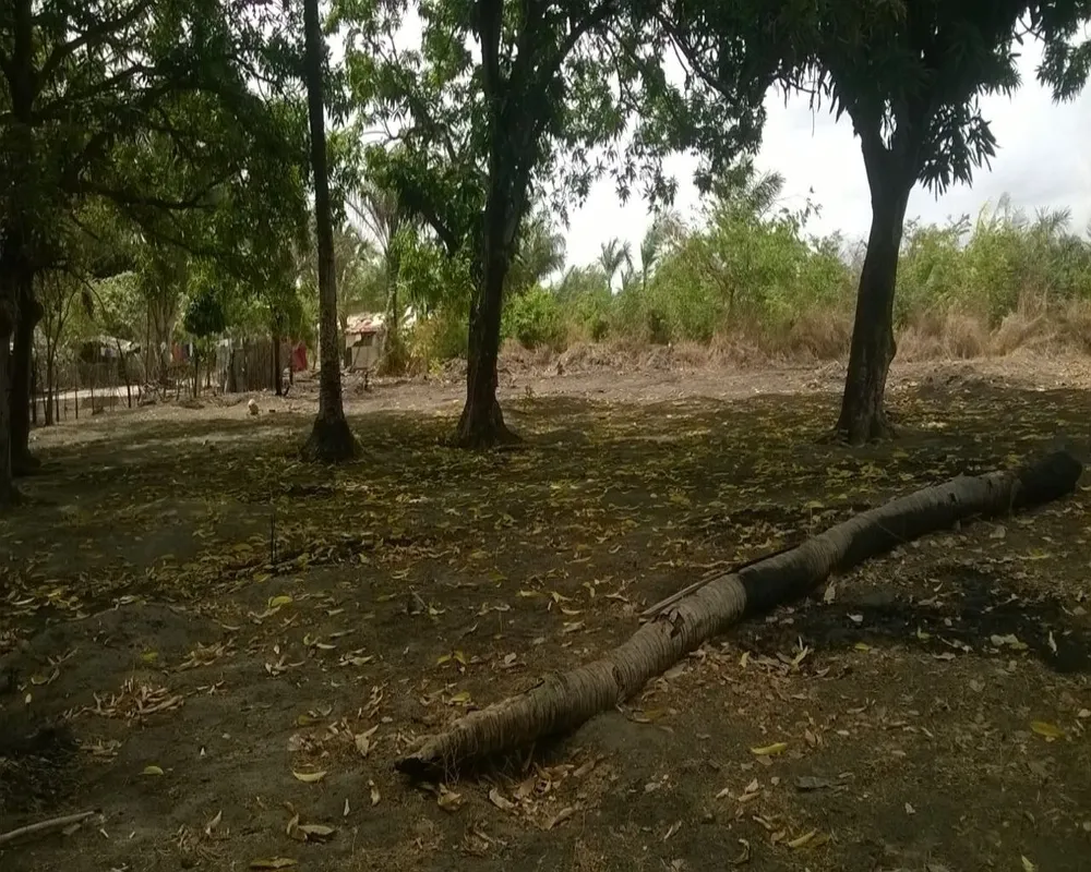 Loteamento e Condomínio, 1250 m² - Foto 4