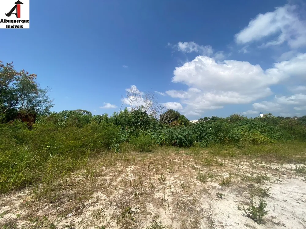 Loteamento e Condomínio, 10000 m² - Foto 6