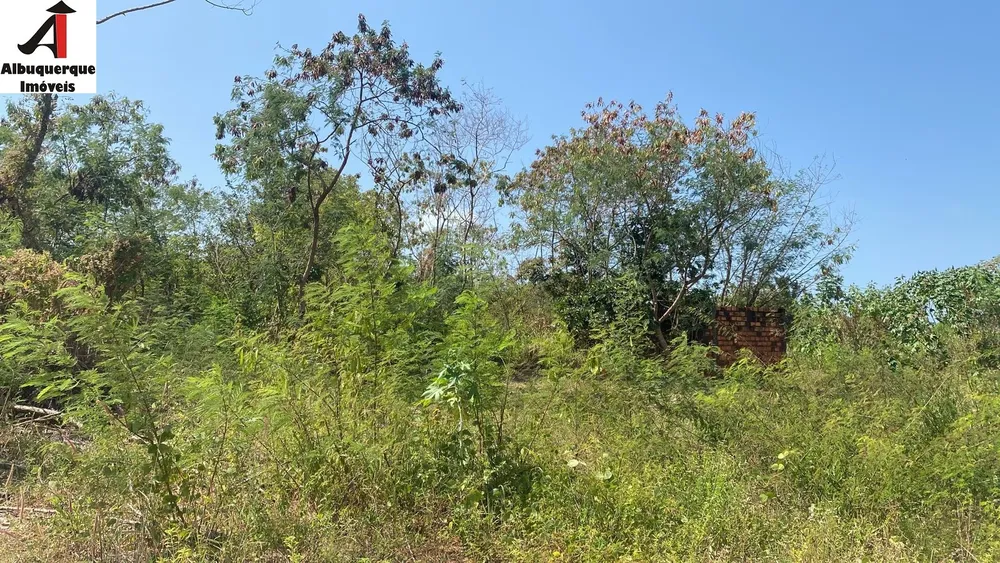 Loteamento e Condomínio, 10000 m² - Foto 3