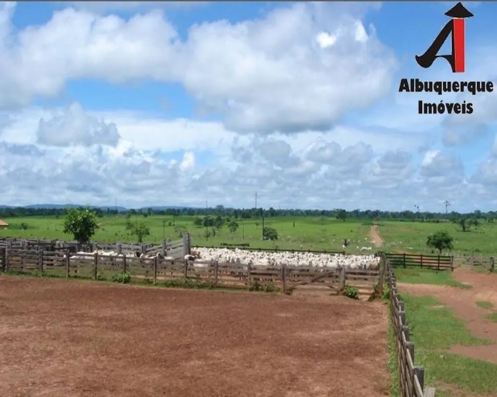 Fazenda, 1494 hectares - Foto 8