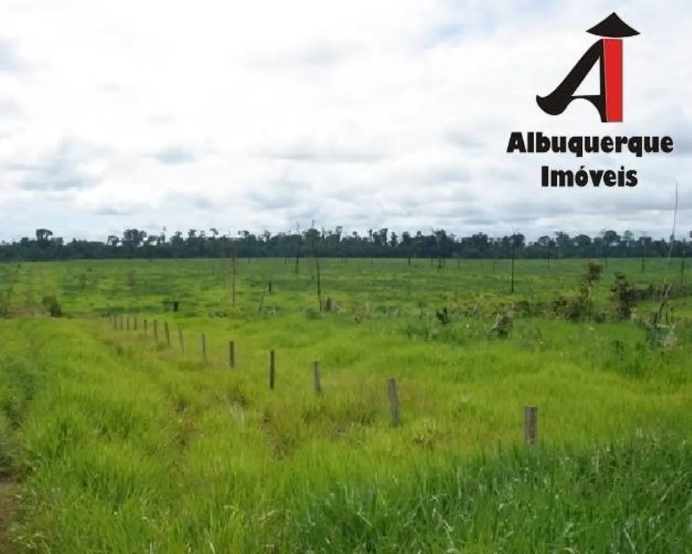 Fazenda, 1494 hectares - Foto 7