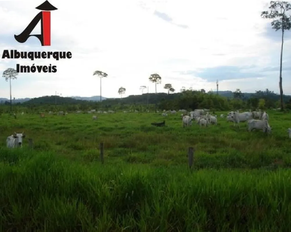 Fazenda, 1494 hectares - Foto 6