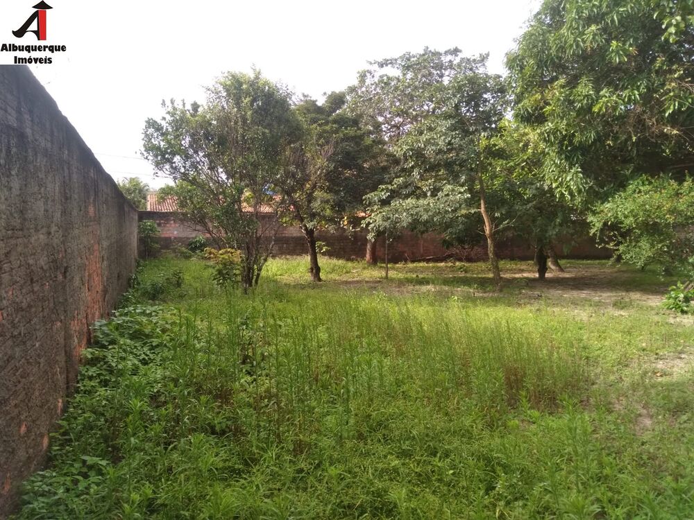 Sítio, 1 quarto, 2100 m² - Foto 3