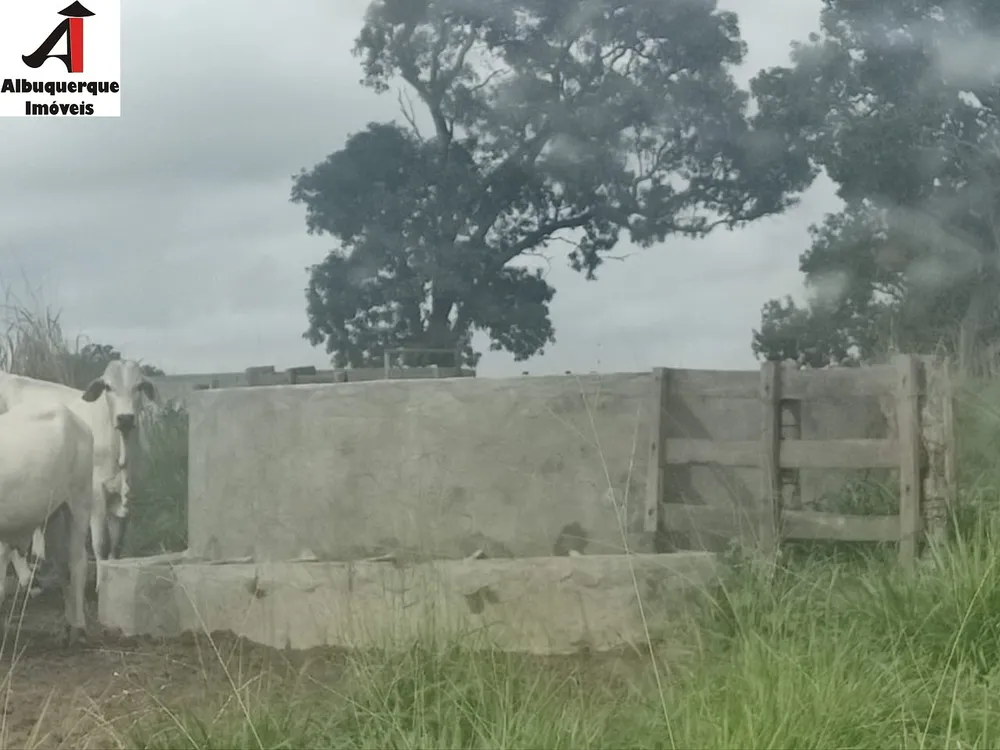 Fazenda, 1 quarto - Foto 15