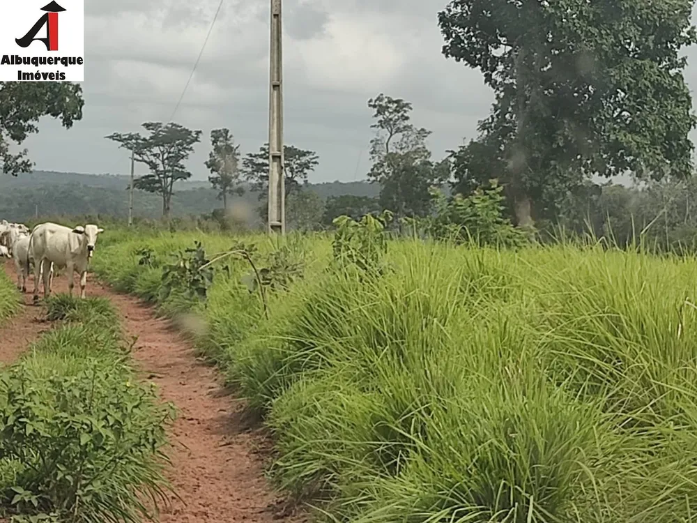 Fazenda, 1 quarto - Foto 12