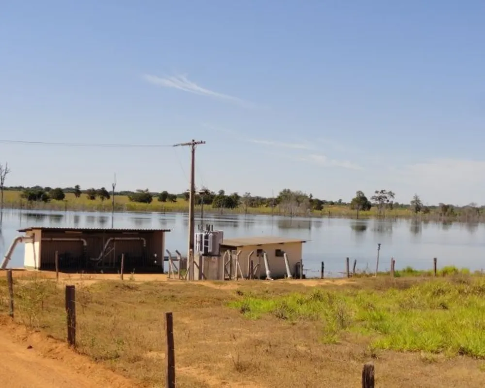 Fazenda - Foto 6