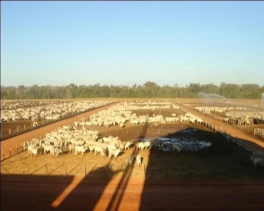 Fazenda - Foto 4