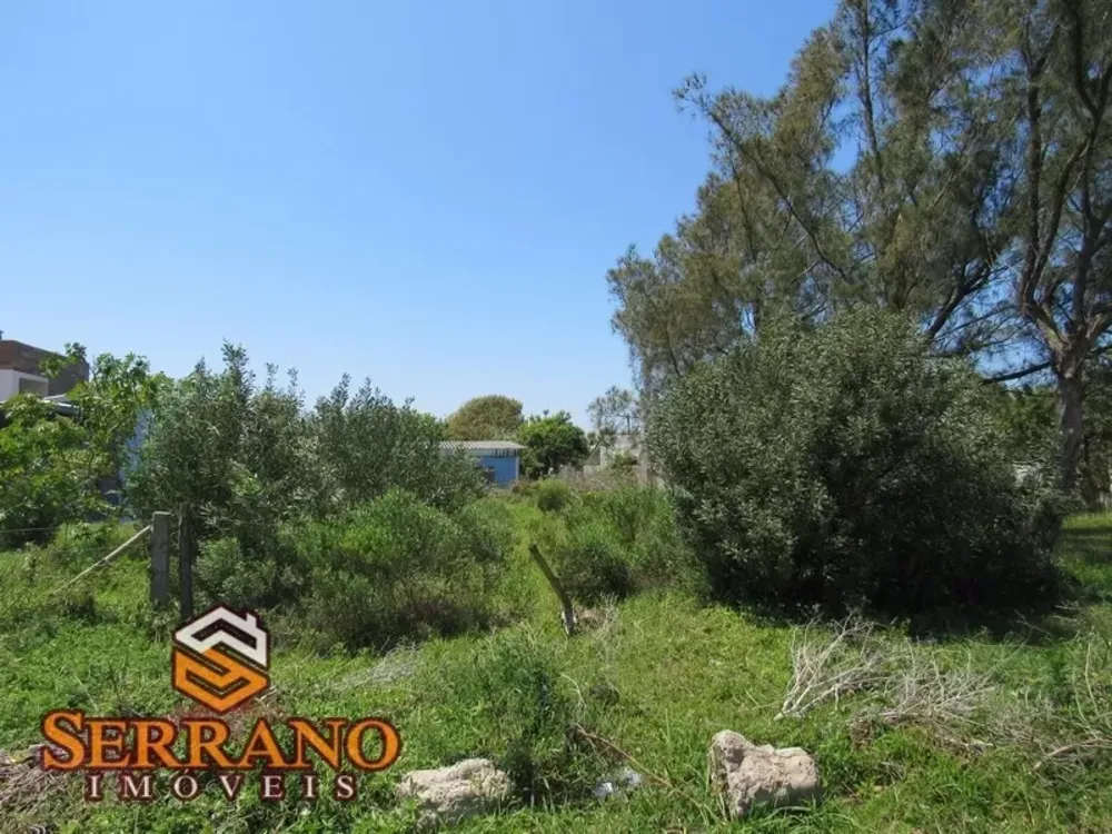 Terreno, 300 m² - Foto 3