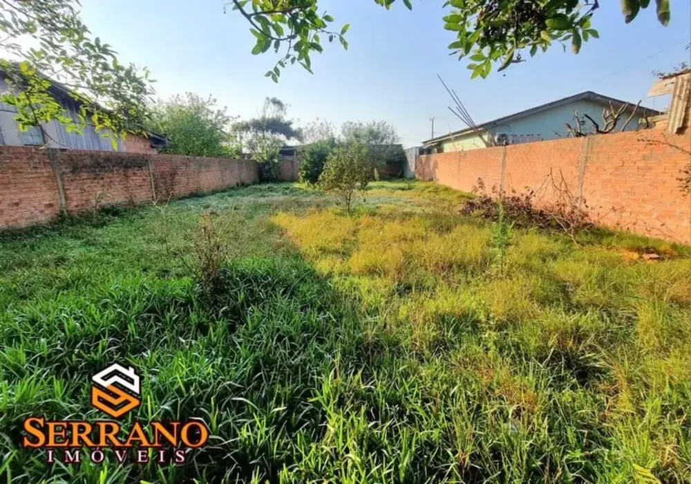 Terreno, 300 m² - Foto 3