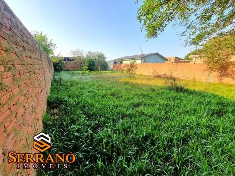 Terreno, 300 m² - Foto 2
