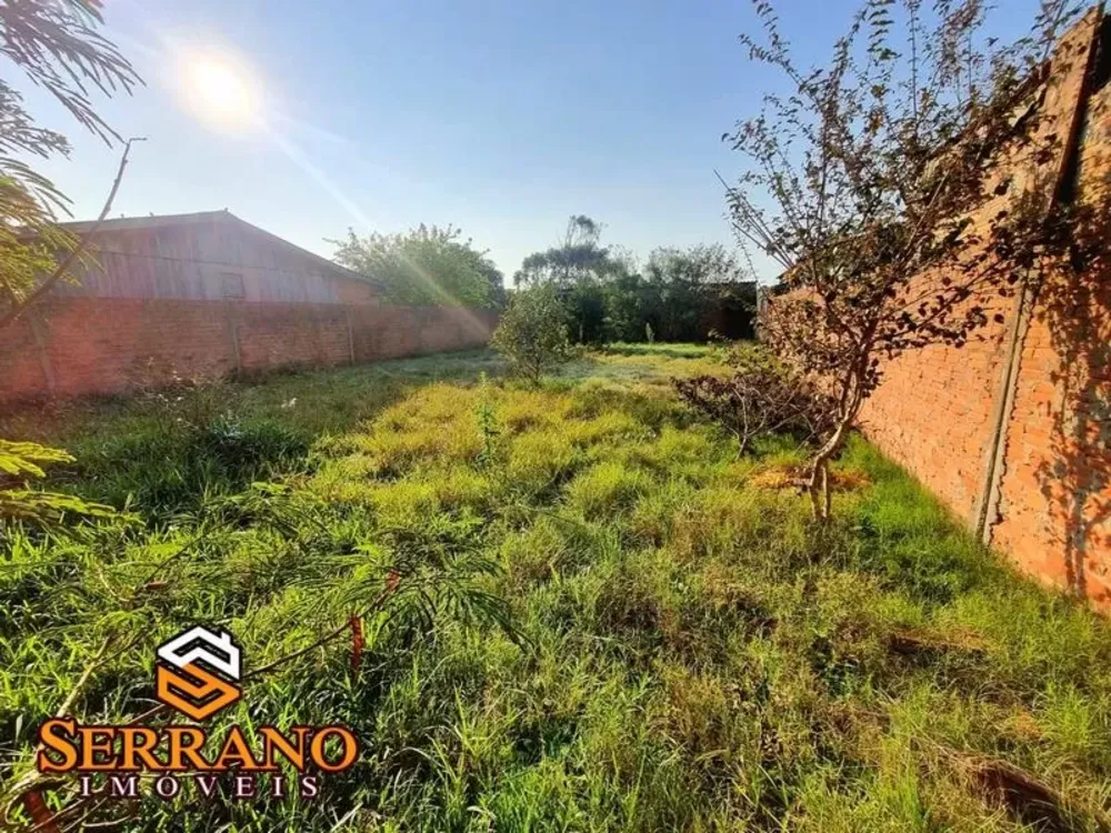 Terreno, 300 m² - Foto 4