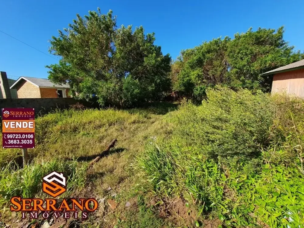 Terreno, 300 m² - Foto 3