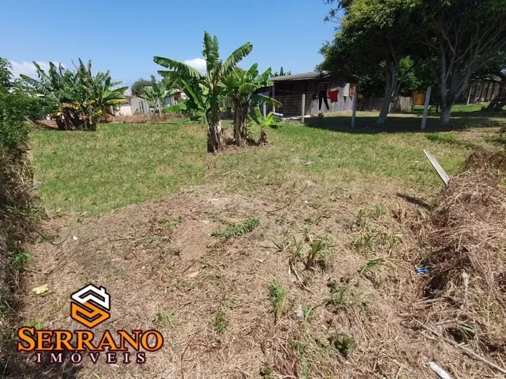 Terreno, 300 m² - Foto 6
