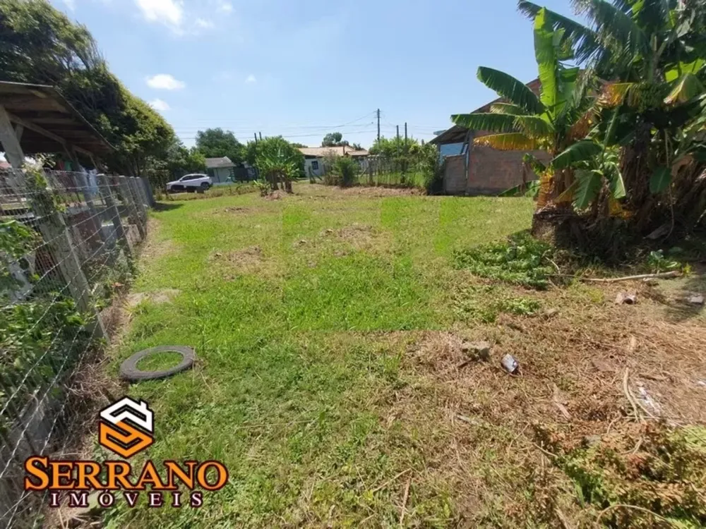 Terreno, 300 m² - Foto 4