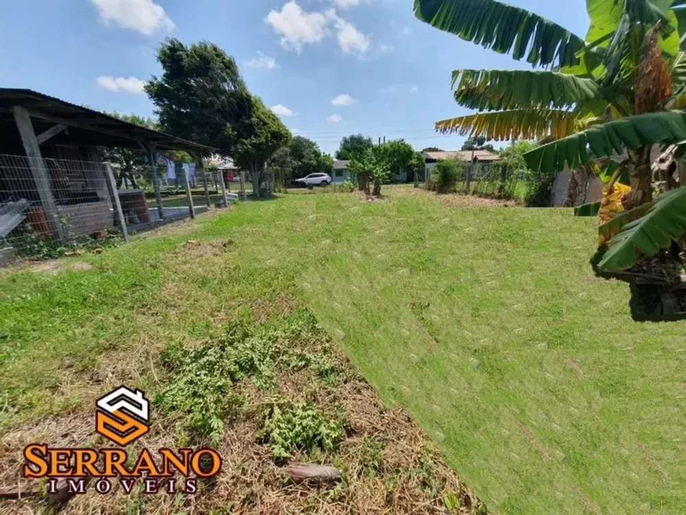 Terreno, 300 m² - Foto 3