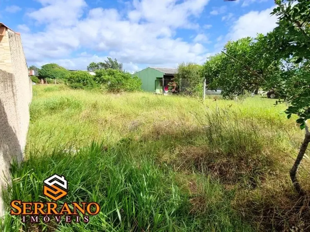 Terreno, 300 m² - Foto 4