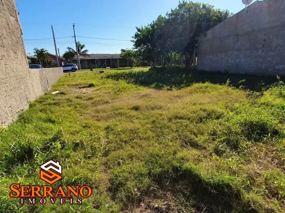 Terreno, 300 m² - Foto 4