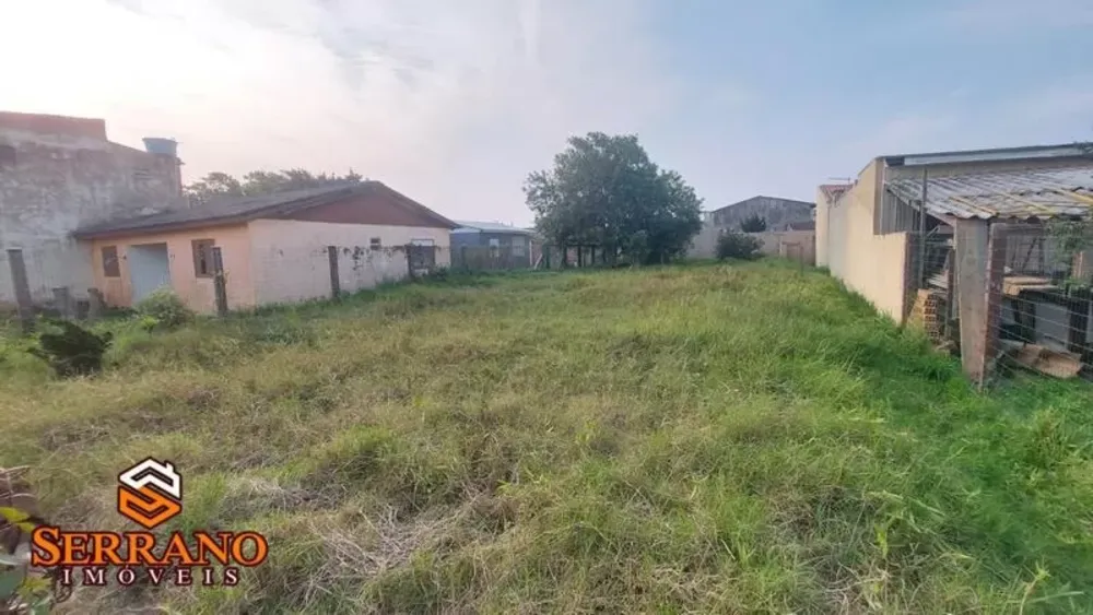 Terreno - Foto 6