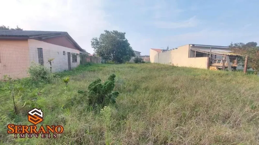 Terreno - Foto 4