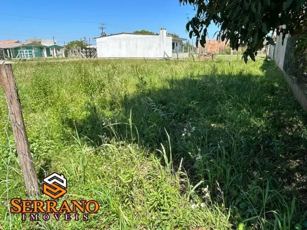 Terreno - Foto 4