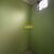 Casa, 3 quartos, 184 m² - Foto 7
