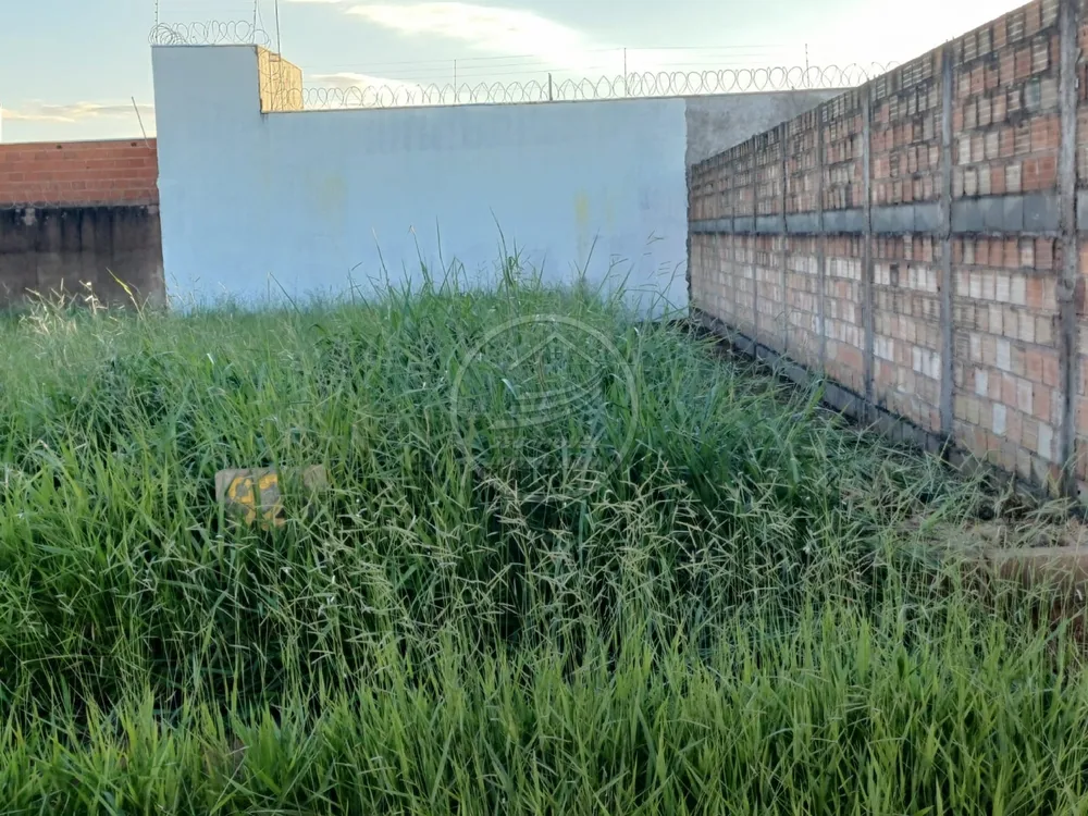 Terreno, 250 m² - Foto 4
