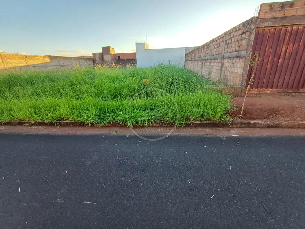 Terreno, 250 m² - Foto 2