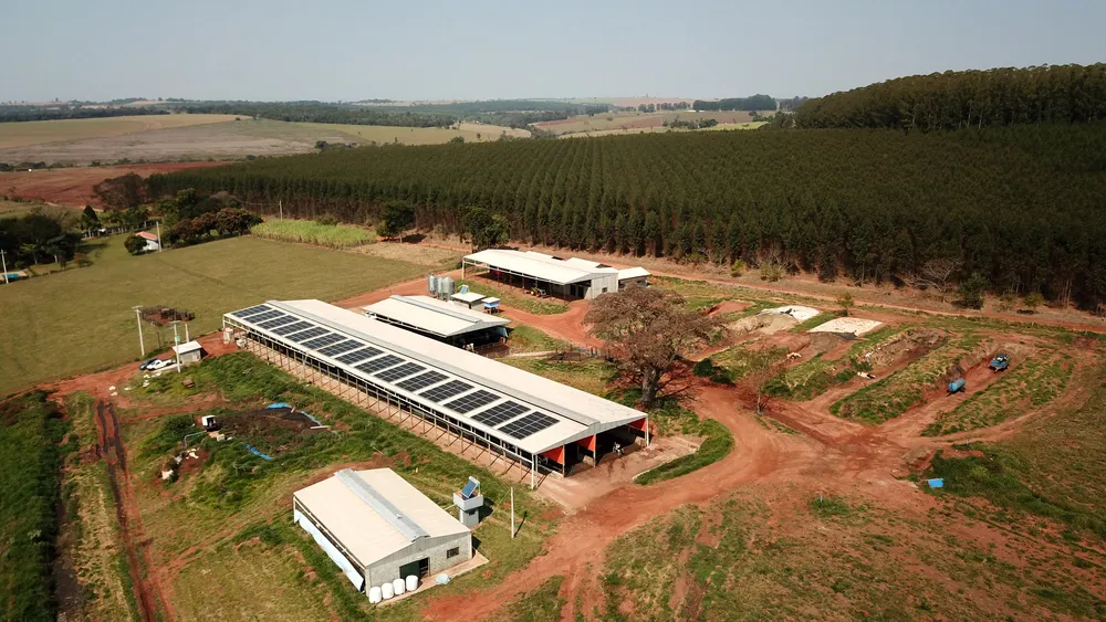 Depósito-Galpão, 3500 m² - Foto 4