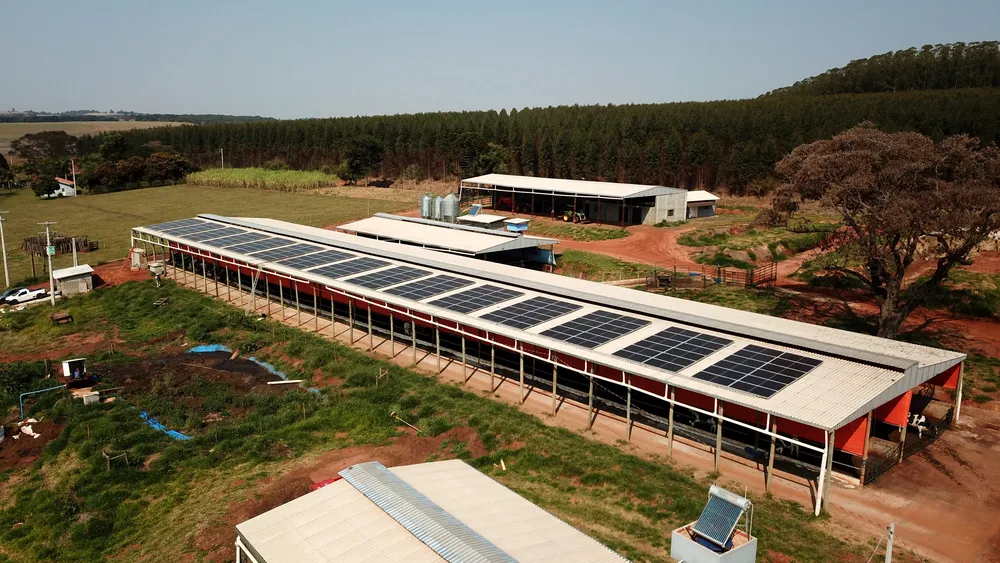 Depósito-Galpão, 3500 m² - Foto 1