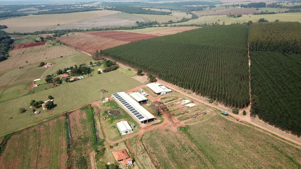 Depósito-Galpão, 3500 m² - Foto 3
