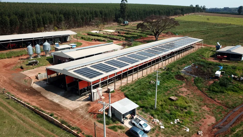 Depósito-Galpão, 3500 m² - Foto 2