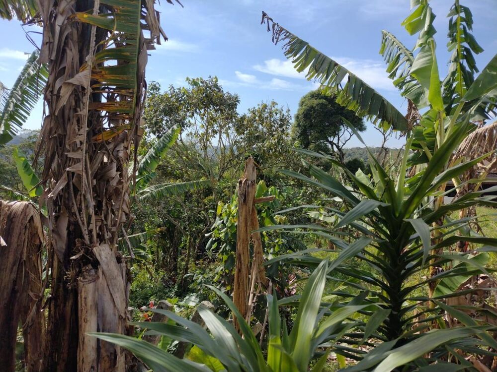 Terreno, 250 m² - Foto 5