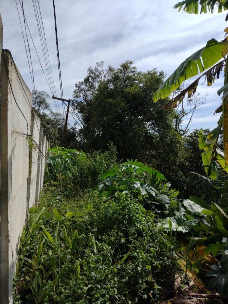 Terreno, 250 m² - Foto 1