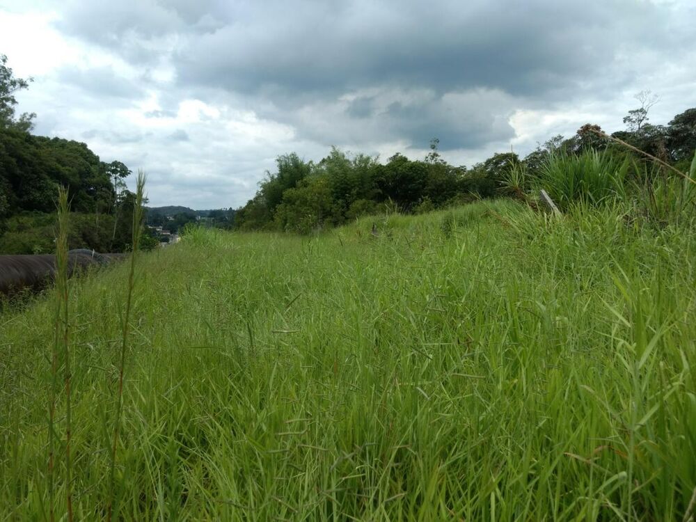 Terreno à venda, 9980m² - Foto 4