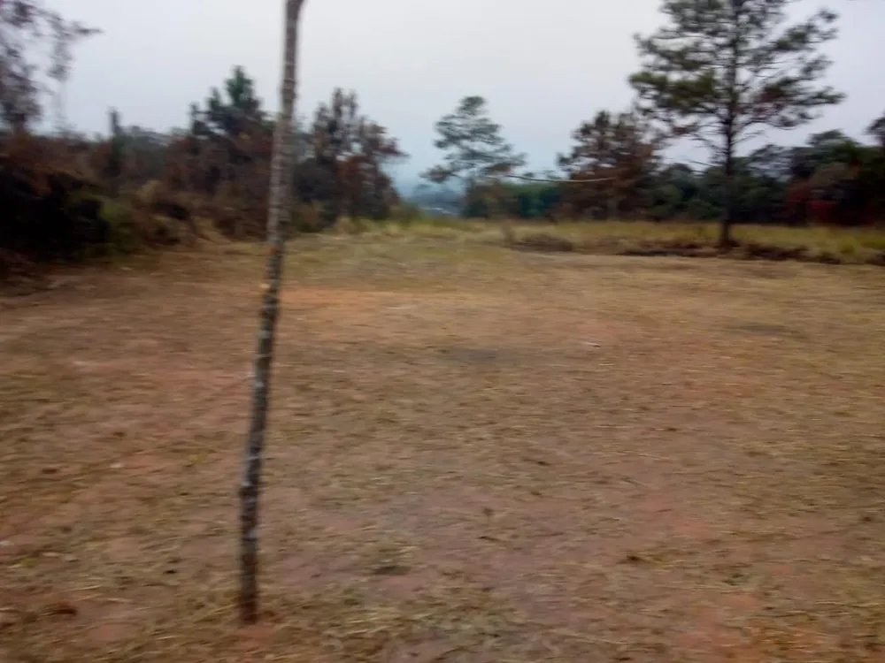 Terreno, 9980 m² - Foto 2