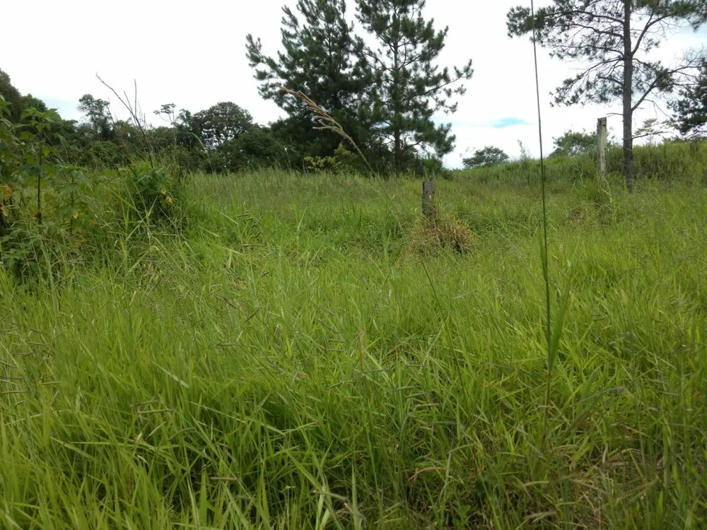 Terreno, 9980 m² - Foto 4