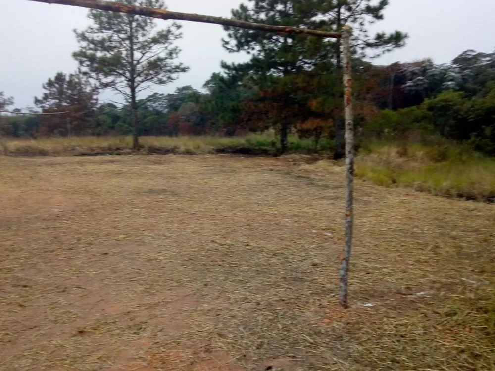 Terreno, 9980 m² - Foto 1