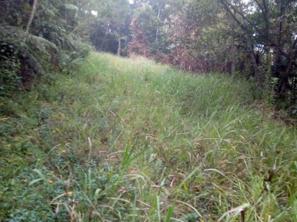 Terreno à venda, 9980m² - Foto 3