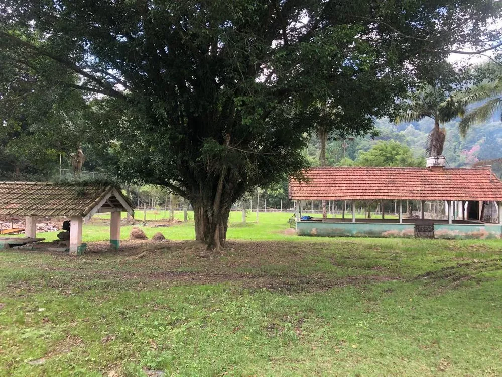 Depósito-Galpão - Foto 2