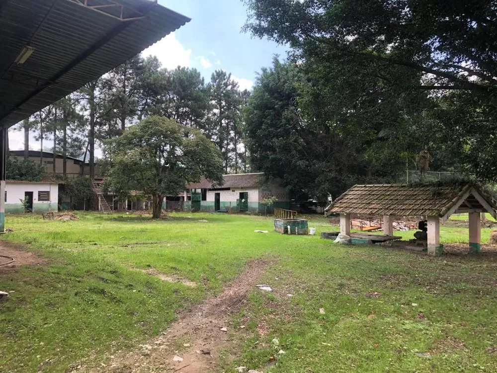 Depósito-Galpão - Foto 4