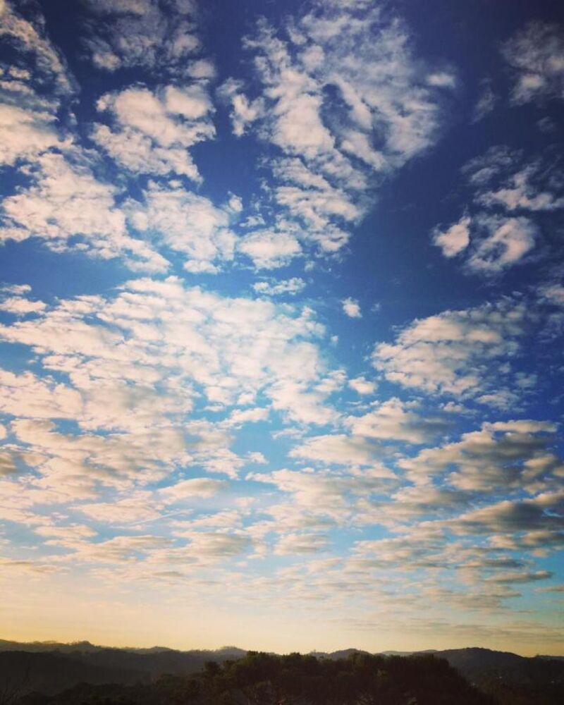 Chácara, 2 quartos, 1890 m² - Foto 2